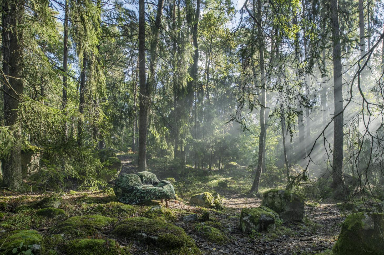 The engineering of Swedish woodlands moves Front Plan’s developing assortment for Moroso