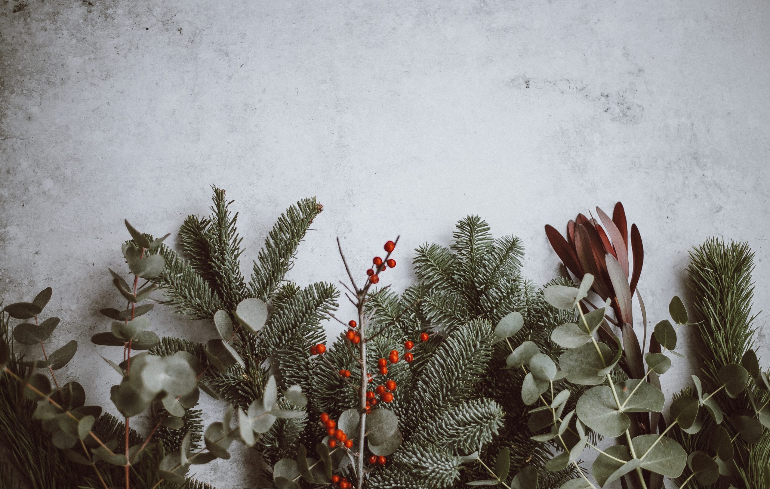 How to decorate you house in Christmas Festival day to show you fashion taste and personal style